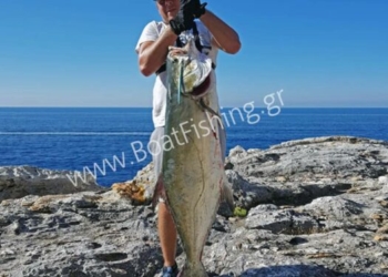 psarepsan apo akti mia litsa giganta 24 300 kilon foto video 4 750x375