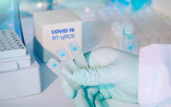 shutterstock 1649596288