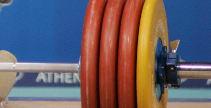 Έξι χρυσά μετάλλια για τον Αλκίνοο, στα Γιάννενα