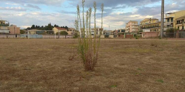 Πυρά προς Αυγενάκη για το… χωράφι στο ΕΑΚΚ!