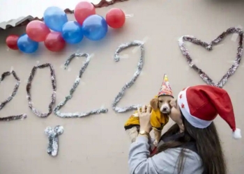 Στοίχημα στο Νησί, ως και 5.90!