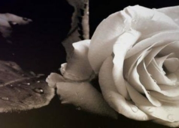 Συλλυπητήρια από τους… πάντες για το χαμό του Γιώργου!