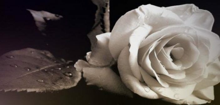 Συλλυπητήρια από τους… πάντες για το χαμό του Γιώργου!