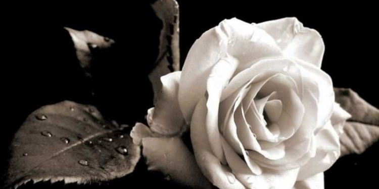 Η ΑΕΛ αποχαιρετά τον Βαγγέλη Πλασκασοβίτη