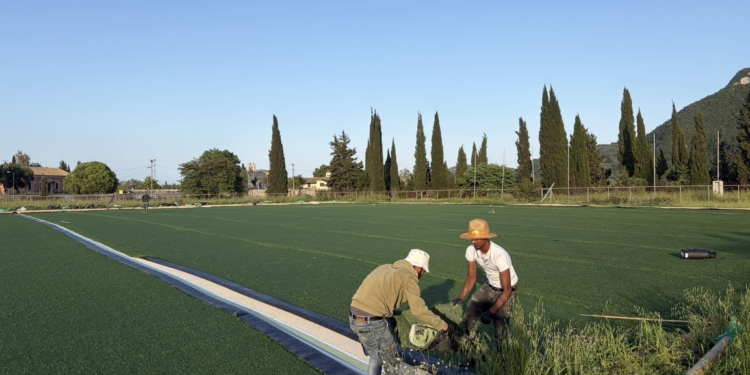 Αποκτά τεχνητό χλοοτάπητα το γήπεδο Καστελλάνων!
